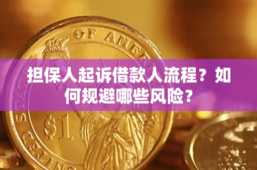 北京担保人起诉借款人流程？如何规避哪些风险？